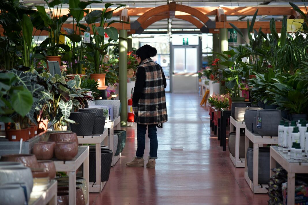 Kobieta ogląda rośliny doniczkowe w jasno oświetlonym sklepie ogrodniczym