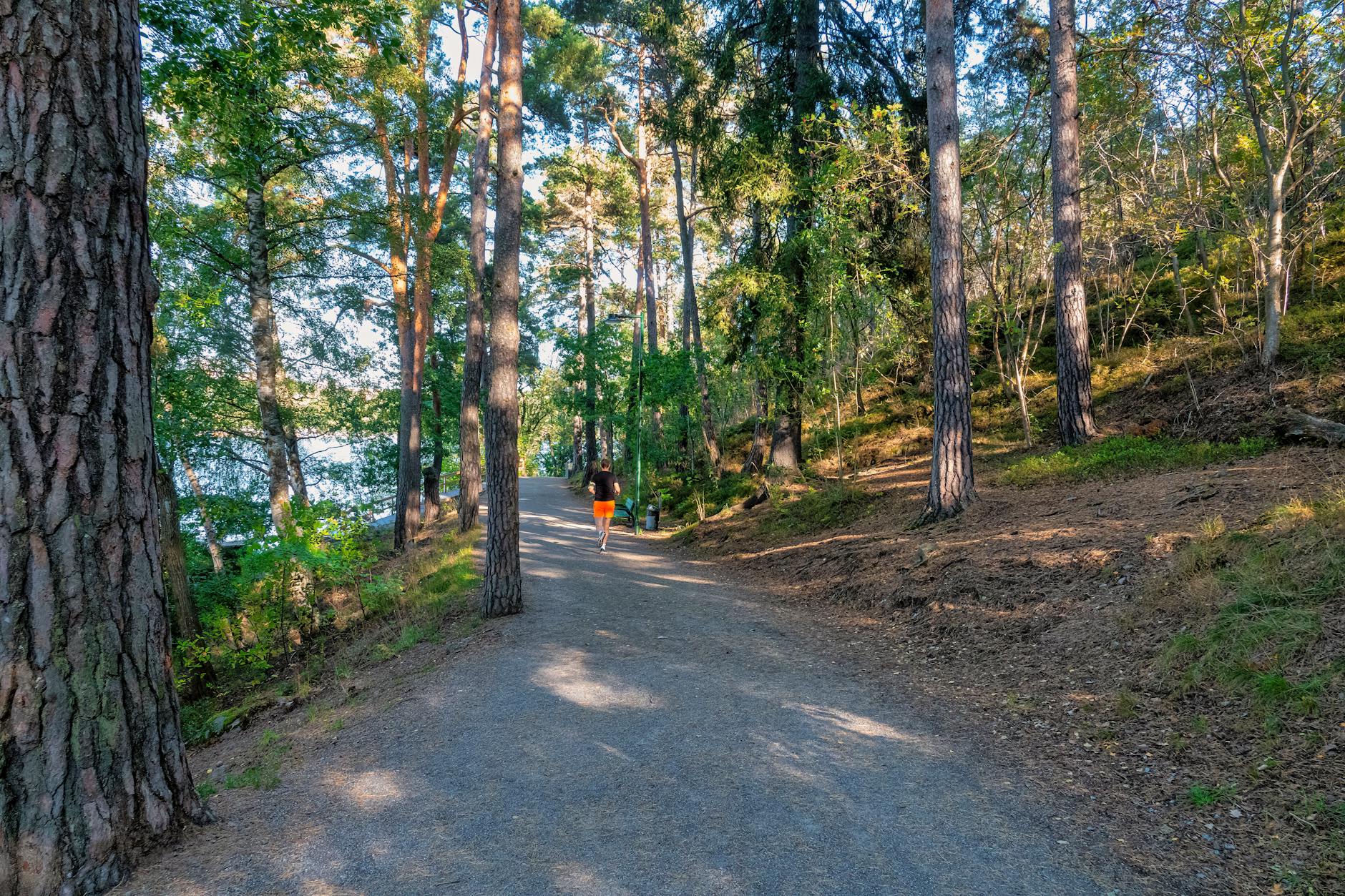 Biegacz na leśnej ścieżce latem w Sztokholmie