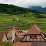 Alzacja na weekend: spokojny plan zwiedzania winnic, miasteczek i zamków Winnice i tradycyjne zabudowania w Dambach-la-Ville w Alzacji